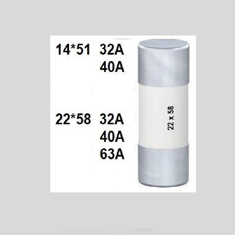 FUSIBLE 63A CARTOUCHE 22X58MM RELAIS DE NIVEAU 240V RPS