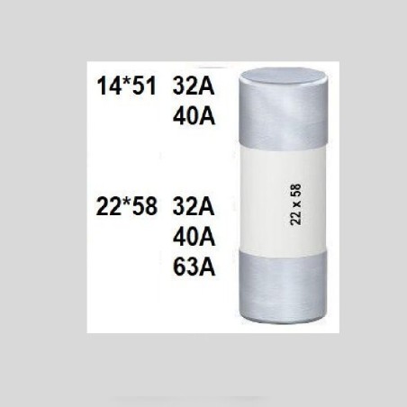 FUSIBLE 63A CARTOUCHE 22X58MM RELAIS DE NIVEAU 240V RPS