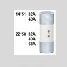 FUSIBLE 63A CARTOUCHE 22X58MM RELAIS DE NIVEAU 240V RPS